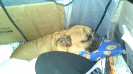 IMAG1548.webp