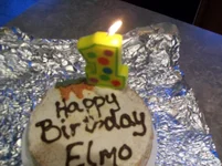 100_0567.webp