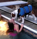 IMG_0163 (2).webp