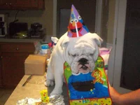 100_0574.webp