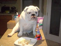 100_0577.webp
