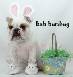 IMG_020012 watermarked.jpg