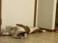 sleep.webp