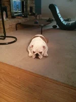 Colossus 09 01 14.webp Colossus 09 01 14.webp