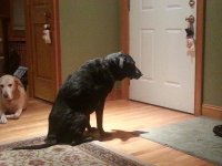 20131218_181222.jpg 20131218_181222.jpg