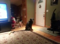 20131218_181215.jpg 20131218_181215.jpg