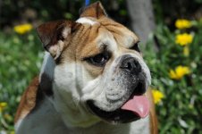 download (6).jpg download (6).jpg