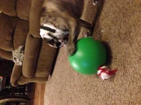 image.webp