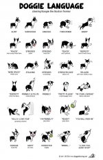 Doggie Language.jpg