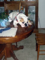 IMG_0240 (2).webp