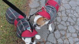 IMG_1937 (800x450).jpg IMG_1937 (800x450).jpg