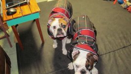 IMG_1908 (800x450).jpg IMG_1908 (800x450).jpg