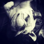 Archieeee.webp