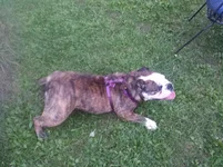 20140826_194603.webp