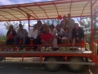 image13.webp