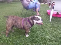 20140826_194457.webp