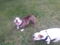 20140826_194112.webp