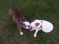 20140826_194025.webp