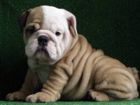 CgAAG1RfiJyEcffxAAAAAByc3BA930.jpg CgAAG1RfiJyEcffxAAAAAByc3BA930.jpg