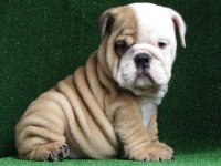 CgAAG1RfiJyEZrQ9AAAAAMu7vzM368.jpg CgAAG1RfiJyEZrQ9AAAAAMu7vzM368.jpg