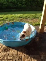 May pool fun 002.webp