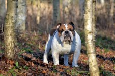 DSC_0360.jpg