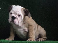 CgAAG1RfiJyEDHhHAAAAAFO048k640.jpg CgAAG1RfiJyEDHhHAAAAAFO048k640.jpg