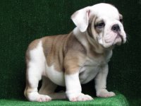 CgAAG1RfiJyEIUIJAAAAAJZ2Esg862.jpg CgAAG1RfiJyEIUIJAAAAAJZ2Esg862.jpg