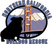norcal.webp