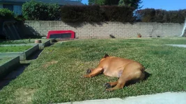 IMAG1512.webp IMAG1512.webp