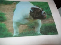 100_0624.webp