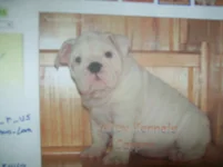 100_0625.webp