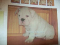 100_0626.webp