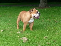 2014-06-16 14.08.04.webp