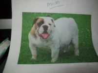 100_0623.webp