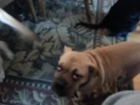 20130320_101145.webp 20130320_101145.webp