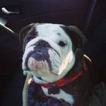 ellie2.webp