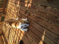image.webp
