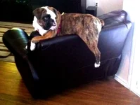 photo (2).webp