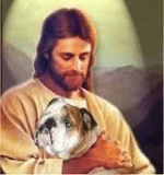 bulldog.png