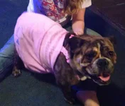 2014-03-08 001 003.webp