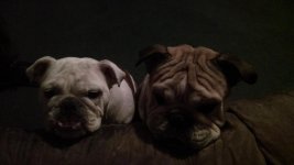 2014-03-18 001 003.jpg