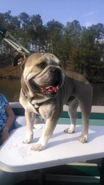 2014-03-22 004 005.webp