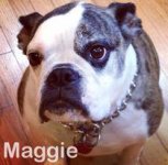 maggie.jpg maggie.jpg