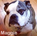 maggie.jpg