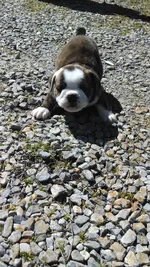 2014-03-30 001 023.webp