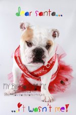 IMG_3155 dear santa reduced watermarked1.jpg IMG_3155 dear santa reduced watermarked1.jpg