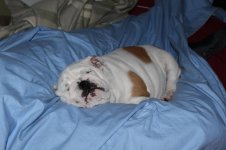 IMG_5120.jpg IMG_5120.jpg