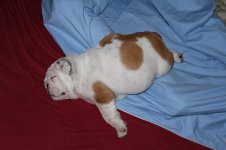 IMG_5123.jpg IMG_5123.jpg