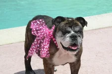 Kona.webp